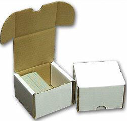 300 Count Storage Box 